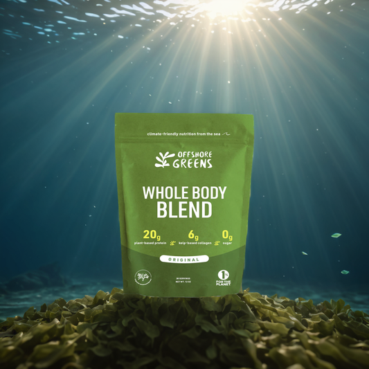 Sugar Kelp
