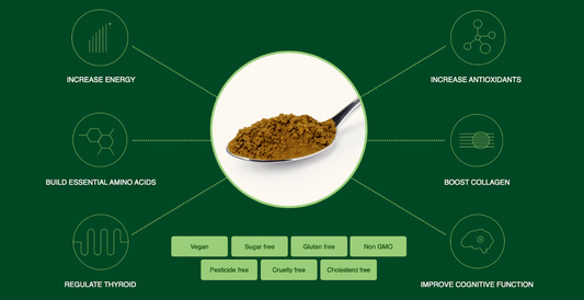 kelp benefits
