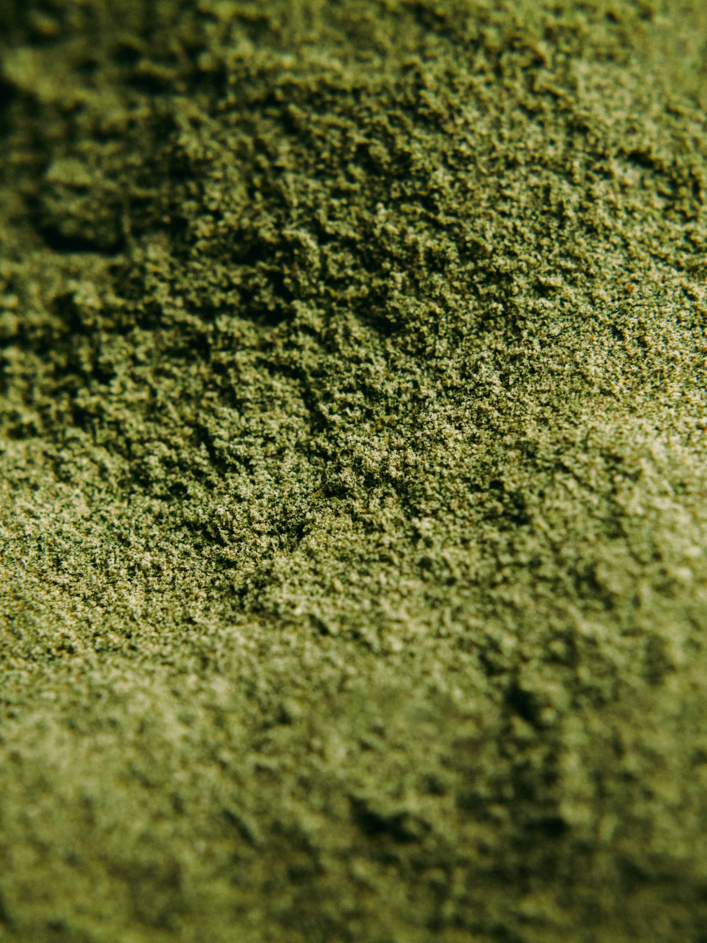 Offshore Greens - Whole Body Blend: Original